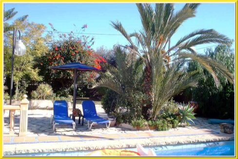 02 PALMERA Y TUMBONAS