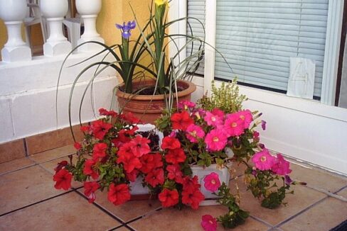 02 patio 1
