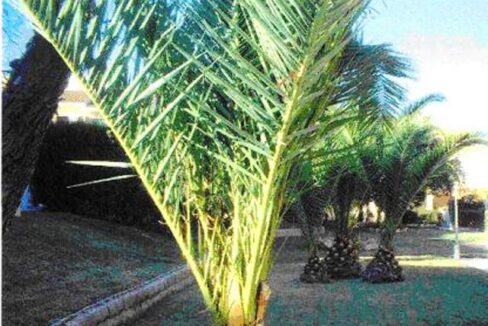 15 jardines
