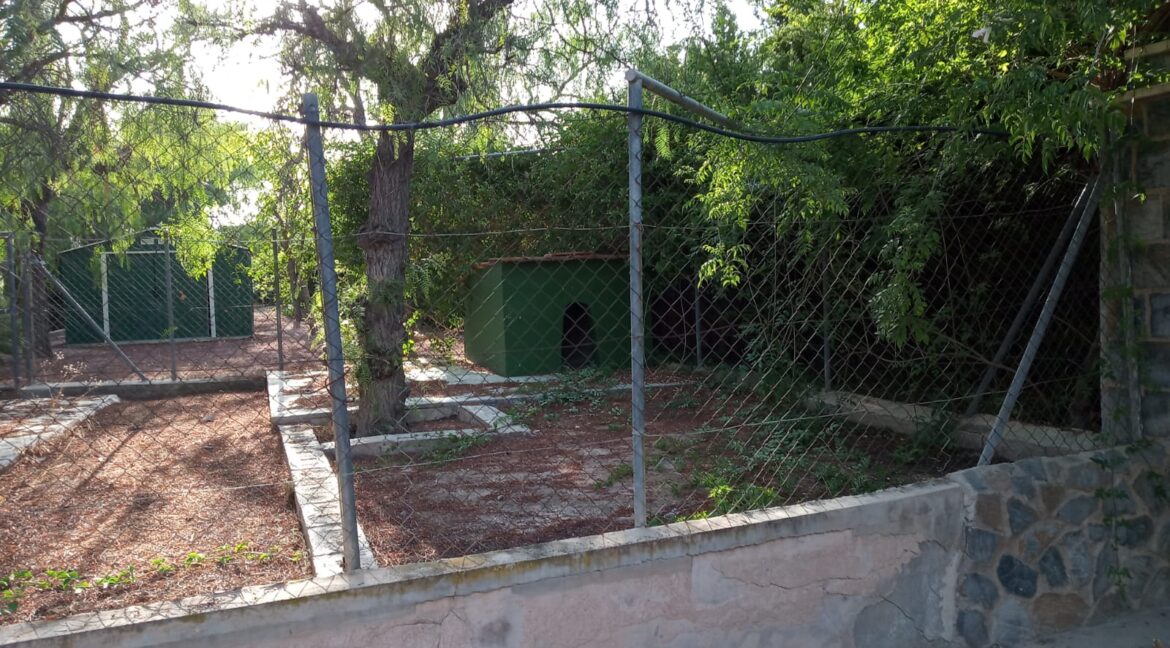 1e384ea2-535f-473b-8128-e12f66aa8c2c