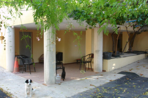 23-DSC06287