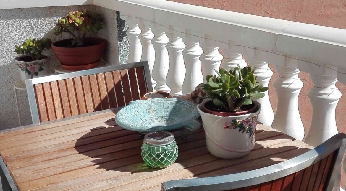 2IMG_20200204_12145062