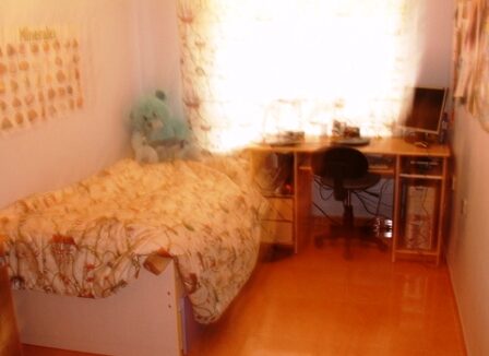 DSC04019