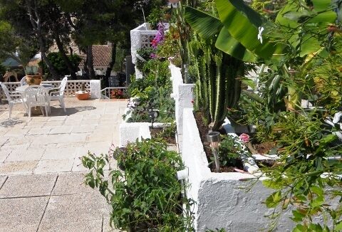 DSCN0021 480x640