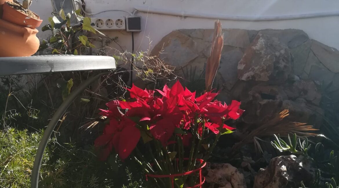 IMG-20190807-WA0011