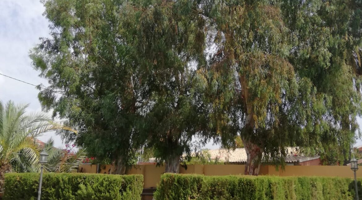 c3768ebb-3718-40a9-af7d-caf5f6776601